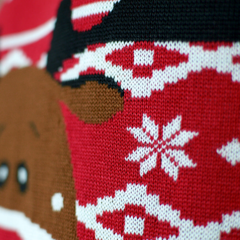 Weihnachtspullover für Herren in Rot Rentier Rudolph Halstuch
